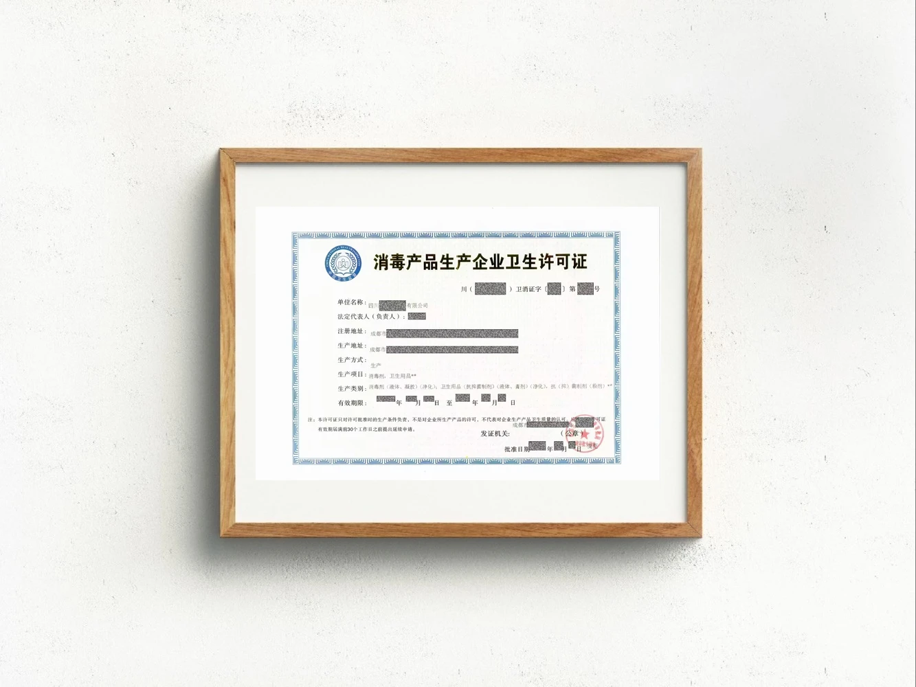 消毒产品生产企业卫生许可证案例图 1