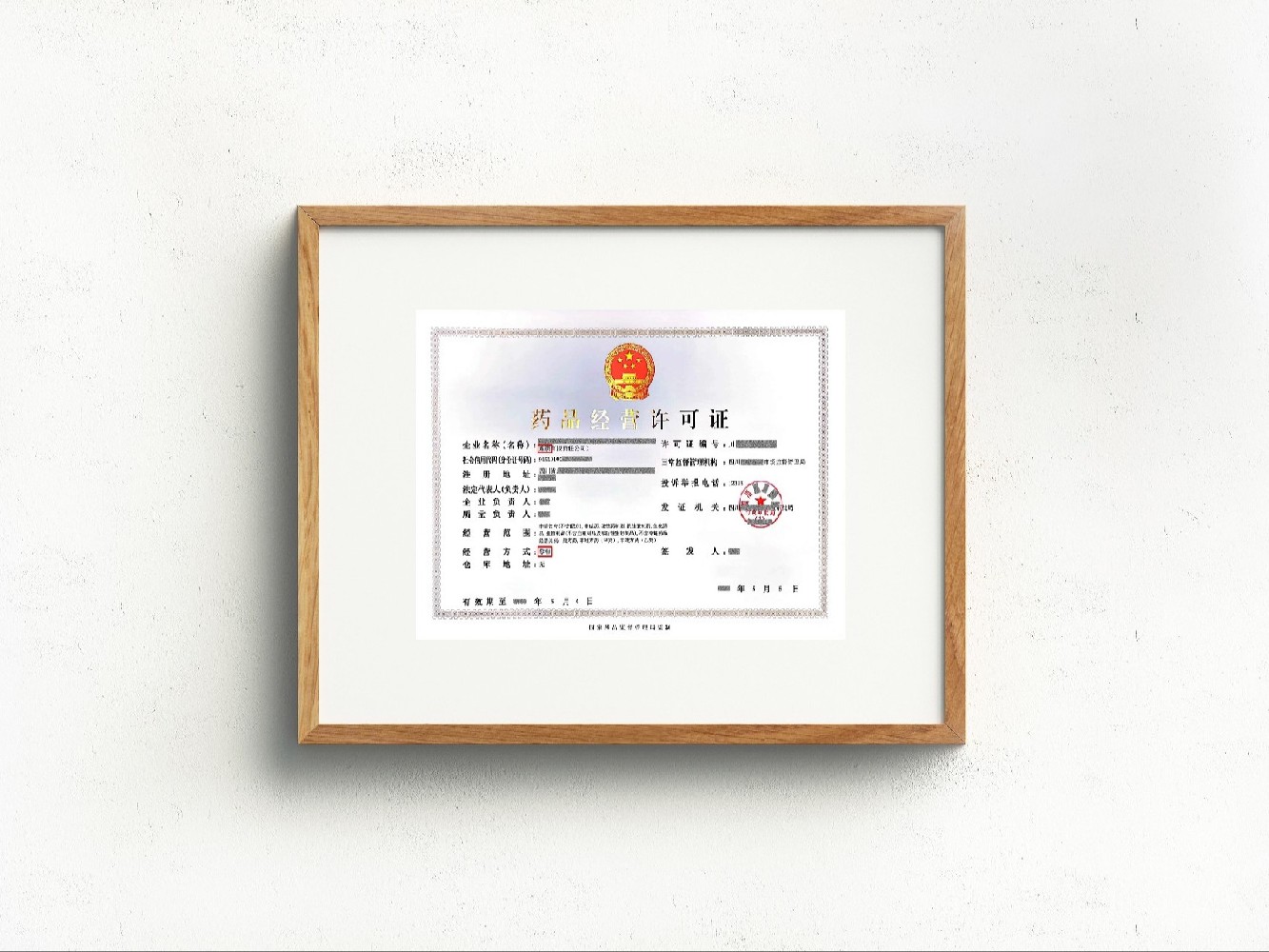 药品经营许可证案例图 1